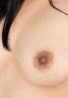 ATK Exotics: Omorose (Omorose in asians)