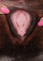 ATK Natural & Hairy: Oya (Oya spreads her pussy)