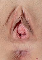 ATK Galleria: Paige Jenner (Paige Jenner in lingerie)