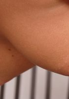 ATK Archives: Panthera (Panthera in)