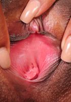 Parris Love from ATK Exotics