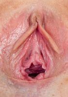 ATK Galleria: Paris White (Paris White in babes)