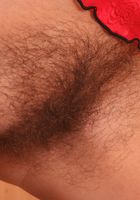 ATK Archives: Paula (Paula in)