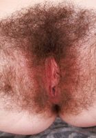 ATK Natural & Hairy: Pearl Sage (Pearl Sage strips and spreads)