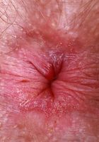 Pearl Sage from ATK Natural & Hairy