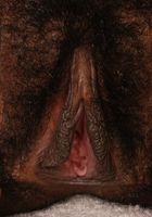 Lilly from ATK Exotics