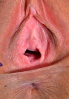 ATK Petites: Penelope Reed (Penelope Reed in latinas)