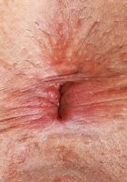 Penelope Reed from ATK Natural & Hairy