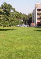 ATK Archives: Petra (Naughty babe Petra walks around naked in town)