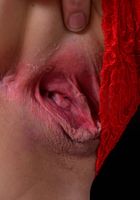 Peyton Robbie from ATK Premium