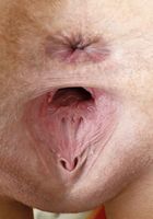 ATK Galleria: Phoenix Dawn (Phoenix Dawn in babes)