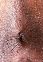 ATK Exotics: Poppy Cox (Poppy Cox Holiday Cheer and Spreading)