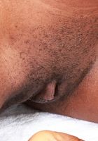 Poppy Cox from ATK Exotics