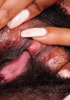 ATK Exotics: Quinn (Quinn loves to give you sexy photo shots)