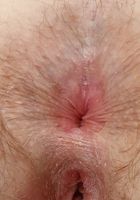 ATK Natural & Hairy: Quinn Helix (Quinn Helix in young and hairy)