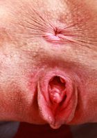 ATK Exotics: Rachel Rivers (Rachel Rivers likes a good strip show)