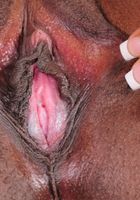 ATK Exotics: Rain (Rain Looks Great in Her Bright Colors)