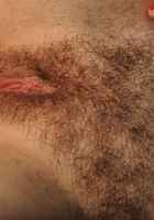 ATK Natural & Hairy: Raven (Raven in young and hairy)