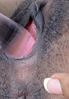 ATK Exotics: Raven Wylde (Raven Wylde in toys)