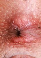 ATK Petites: Reina Heart (Reina Heart Spreads Her Tight Holes)