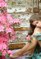 Renee from ATK Premium