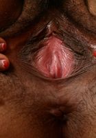 ATK Natural & Hairy: Rhys Adams (Rhys Adams in exotic and hairy)