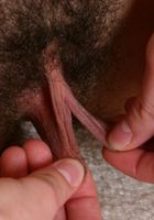 ATK Archives: Ricky (Ricky is a Dark-haired Cutie)