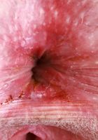 ATK Galleria: Riley Nixon (Riley looks good in blue.)