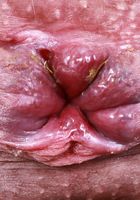 ATK Natural & Hairy: Riley Jean (It's bikini time with Riley Jean)