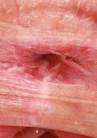 ATK Galleria: Rory Knox (Rory Knox Spreads Outdoors)