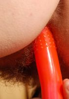 ATK Archives: Rose (Rose in)