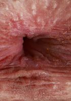 ATK Galleria: Rose Winters (Rose Winters Outdoors Bikini Strip)