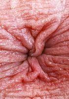 ATK Galleria: Rose Carter (Rose Caarter is posing in her skirt and sneakers)