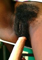 ATK Exotics: Roxie (Roxie in toys)