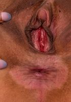 ATK Exotics: Roxane Lee (Roxane Lee in asians)