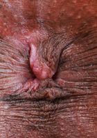 ATK Exotics: Rue (Rue Skimpy Bikini Spreads)