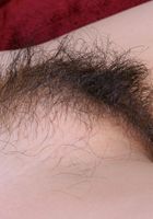 ATK Natural & Hairy: Sadie (Sadie in exotic and hairy)