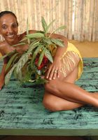 ATK Exotics: Safia (Safia in island girls)