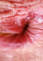 ATK Natural & Hairy: Sahara Skye (Sahara Skye rockin' the cow-print bikini)