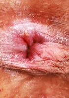 ATK Exotics: Salee Lee (Salee Lee likes her bikini bottom around her ankles)