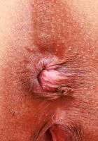 ATK Exotics: Salee Lee (Salee Lee in fancy dress)