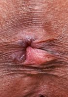 ATK Petites: Salee Lee (Salee Lee Lingerie Spreads)