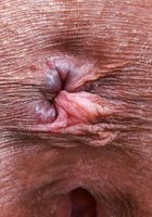 Salee Lee from ATK Petites