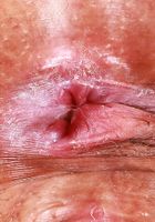 ATK Exotics: Salee Lee (Salee Lee spreads them cheeks)