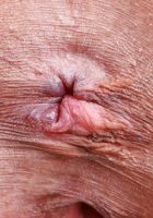 Salee Lee from ATK Petites