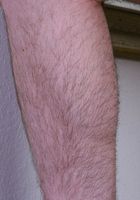 ATK Archives: Sandy (Sandy Hasn't Shaved in Months)