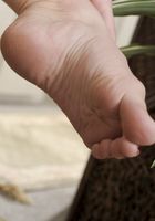 Sara Jaymes from ATK Petites