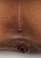 ATK Exotics: Sarah Lace (Sarah Lace Stripping)