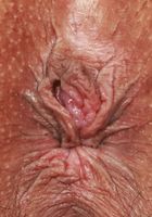 ATK Petites: Sarah Song (Sarah Song Asian Pussy Spreads)