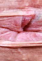 ATK Petites: Satine Summers (Satine Summers makes overalls look sexy.)